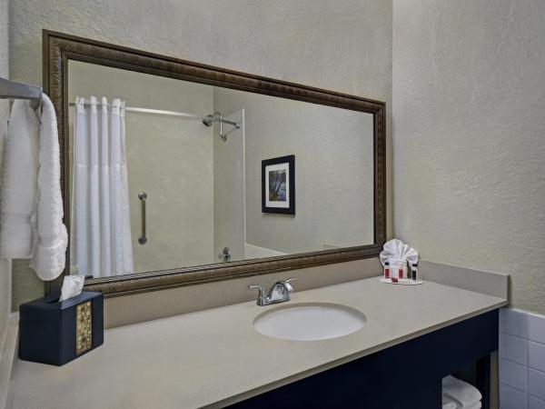 Baymont by Wyndham Houston/Westchase : photo 1 de la chambre king room with mobility/hearing access bathtub w/ grab bars - non-smoking