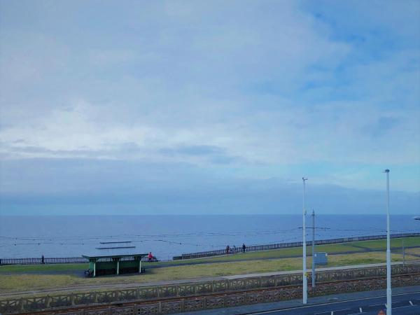 The Fossil Tree Hotel : photo 9 de la chambre chambre lit king-size - vue latérale sur mer