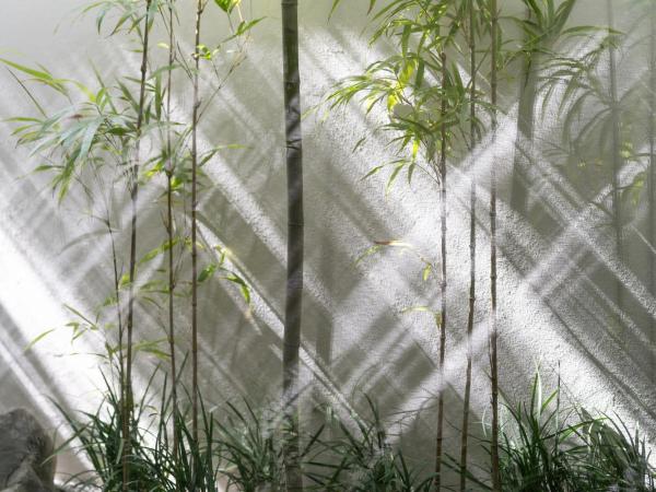 THE JUNEI HOTEL Kyoto : photo 7 de la chambre suite