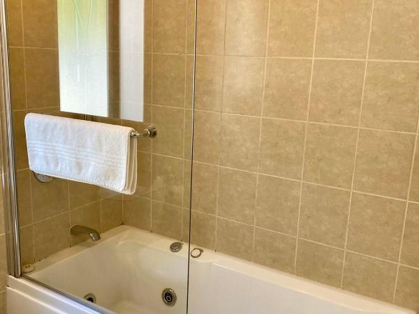 Alpha Motel : photo 5 de la chambre studio avec baignoire spa