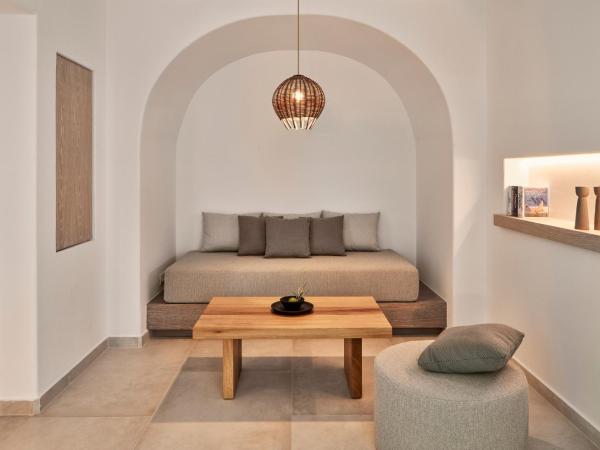 Canaves Epitome - Small Luxury Hotels of the World : photo 3 de la chambre villa 2 chambres aqua retreat avec piscine