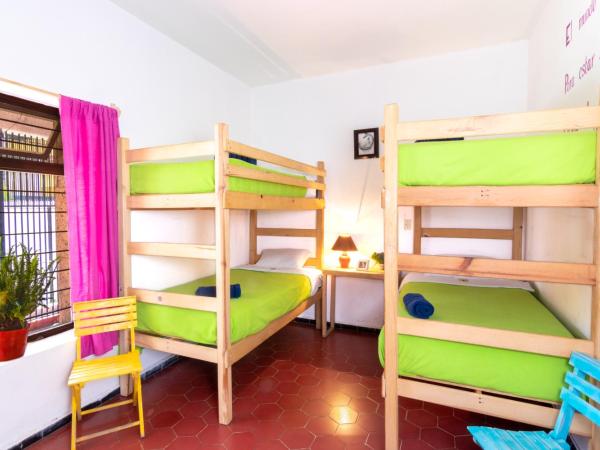 Hostal Casa Colores Adults Only : photo 1 de la chambre lit dans dortoir 6 lits