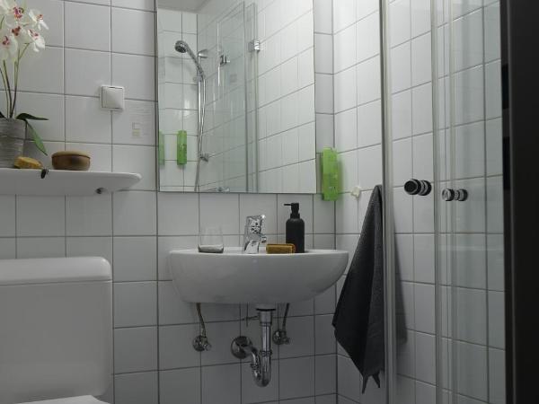 bfwhotel und Tagungszentrum : photo 6 de la chambre chambre double ou lits jumeaux avec terrasse