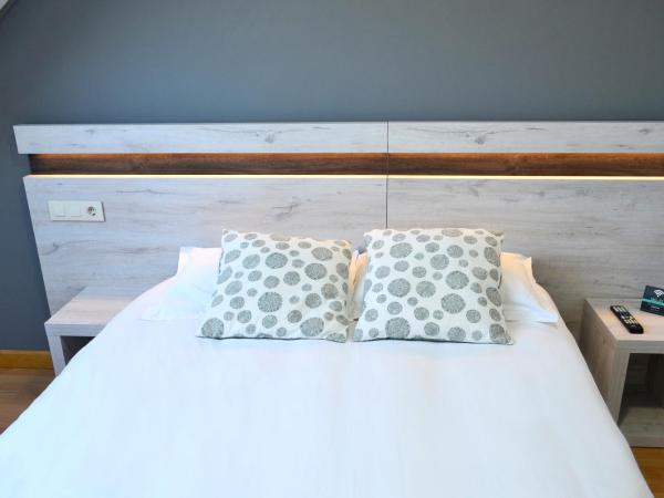 Hotel Alda Centro Oviedo : photo 3 de la chambre chambre supérieure lit queen-size