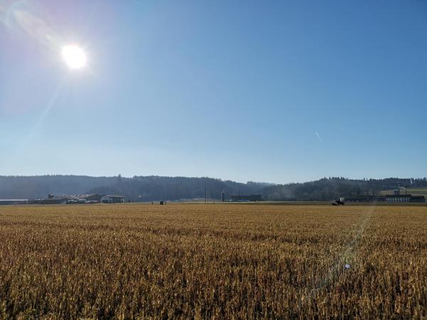 Hotel16 by Messe & Stadion Suisse in Minuten & Late Check-in : photo 4 de la chambre chambre double avec salle de bains commune