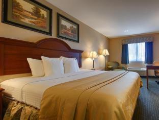 Best Western Port Columbus : photo 7 de la chambre room #18570848