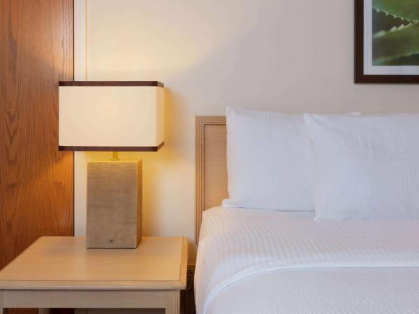 La Quinta by Wyndham Garden City : photo 4 de la chambre chambre lit king-size - non-fumeurs