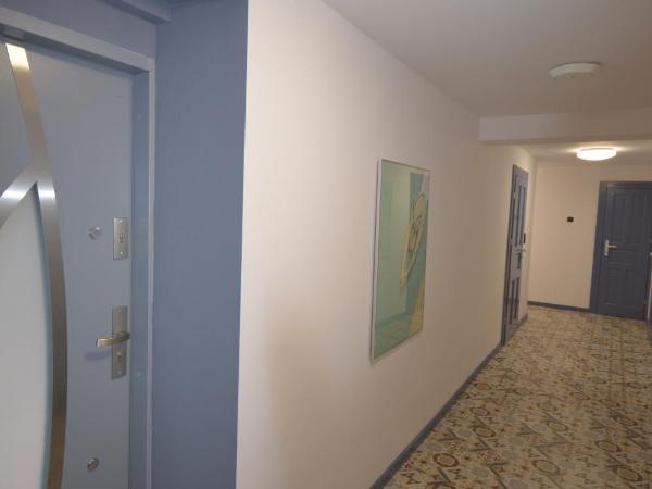 Blue Sail Sopot Apartments : photo 3 de la chambre suite junior avec balcon