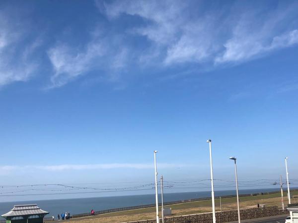 The Fossil Tree Hotel : photo 10 de la chambre chambre lit king-size avec vue partielle sur la mer