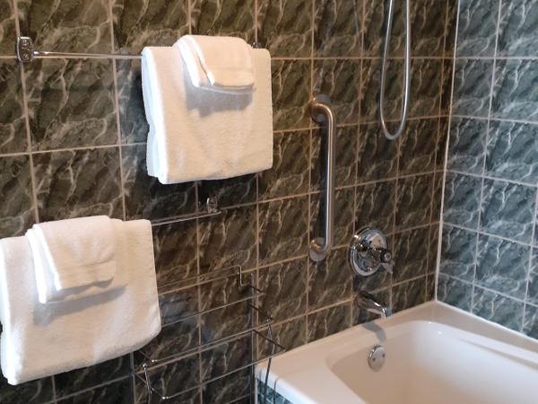 Hotel Chateau de l'Argoat : photo 4 de la chambre chambre double standard avec 2 lits doubles