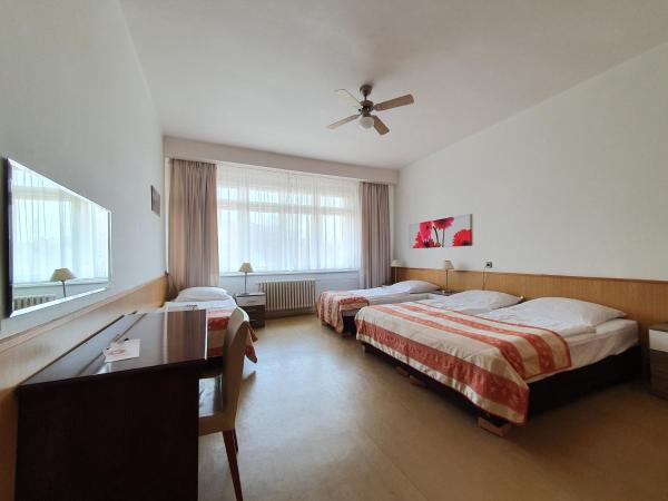 Pension Jana - Domov Mládeže : photo 5 de la chambre chambre quadruple avec salle de bains commune