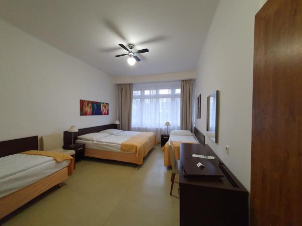 Pension Jana - Domov Mládeže : photo 7 de la chambre chambre quadruple avec salle de bains commune