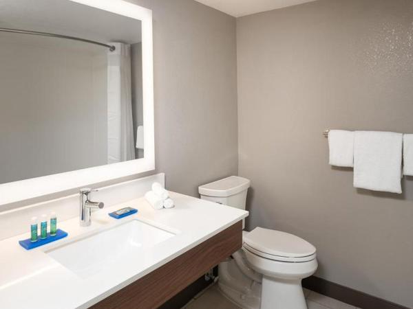 Holiday Inn Express & Suites - Jacksonville W - I295 and I10, an IHG Hotel : photo 9 de la chambre chambre lit king-size standard