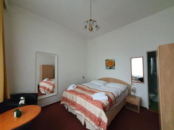 Pension Jana - Domov Mládeže : photo 4 de la chambre chambre double ou lits jumeaux