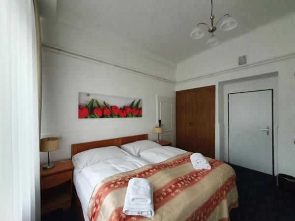 Pension Jana - Domov Mládeže : photo 9 de la chambre chambre double ou lits jumeaux