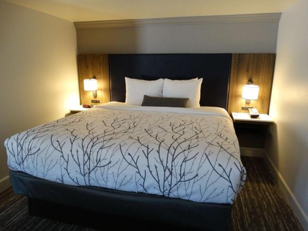 Best Western Premier Denver East : photo 2 de la chambre suite lit king-size avec jacuzzi - côté piscine