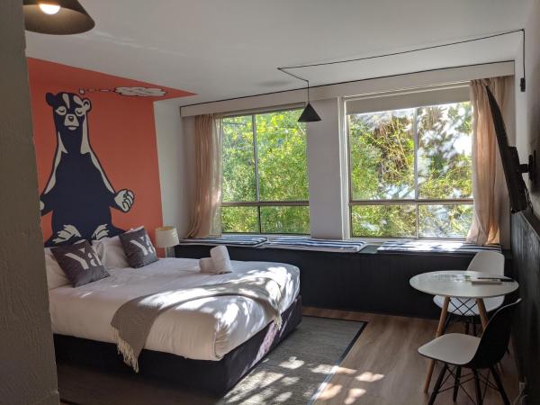 Davis Avenue Apartments : photo 10 de la chambre studio