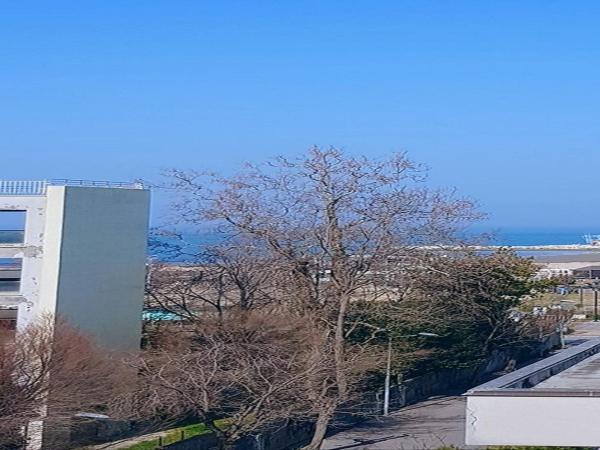 Hotel Prestige : photo 6 de la chambre chambre double avec terrasse - vue sur jardin