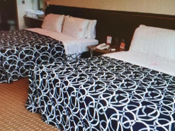 HOTEL VALLE DEL SUR : photo 1 de la chambre chambre lits jumeaux