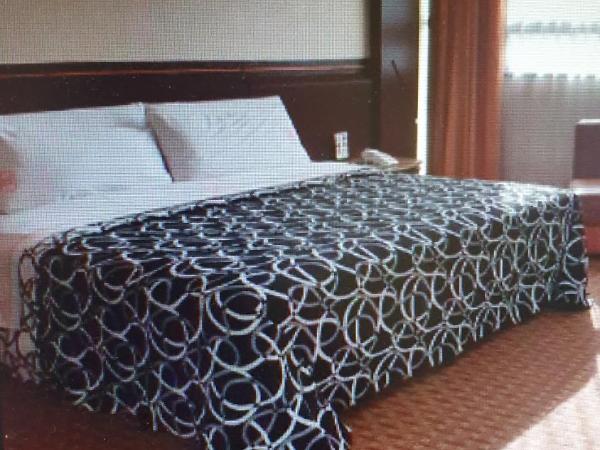 HOTEL VALLE DEL SUR : photo 2 de la chambre suite