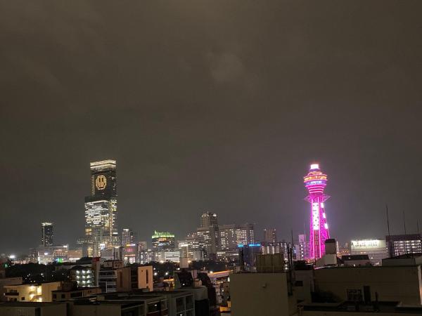 APA Hotel Nambaminami Ebisucho Eki Shinsekai : photo 3 de la chambre chambre double - vue sur tour - non-fumeurs