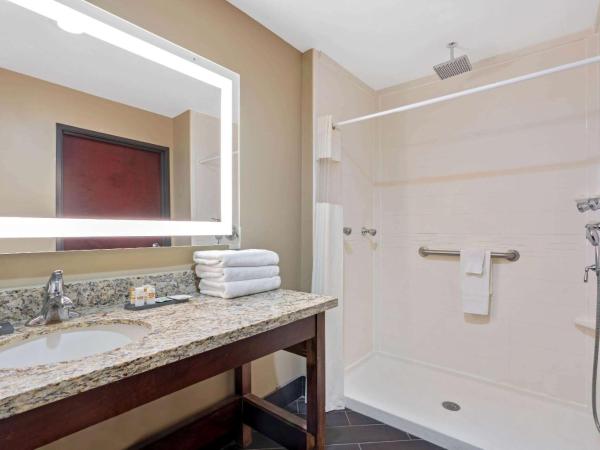 La Quinta by Wyndham Houston Willowbrook : photo 2 de la chambre chambre lit king-size - accessible aux personnes à mobilité réduite - non-fumeurs 