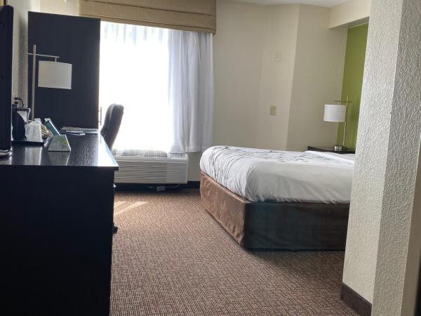 Sleep Inn Louisville Airport & Expo : photo 2 de la chambre chambre lit queen-size accessible aux personnes à mobilité réduite - non-fumeurs
