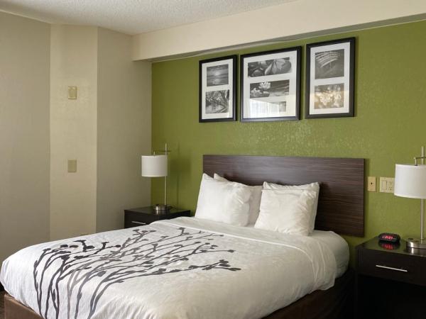 Sleep Inn Louisville Airport & Expo : photo 4 de la chambre chambre lit queen-size accessible aux personnes à mobilité réduite - non-fumeurs