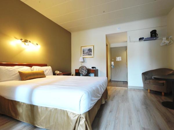 Hotel Le Voyageur : photo 2 de la chambre chambre standard lit queen-size