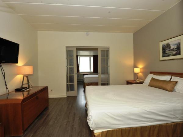 Hotel Le Voyageur : photo 10 de la chambre chambre double standard