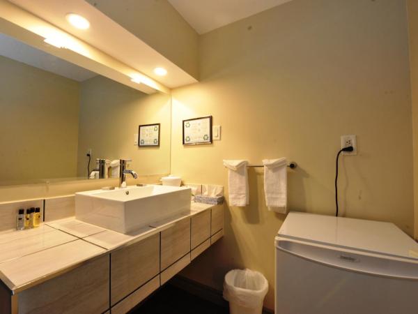 Hotel Le Voyageur : photo 3 de la chambre chambre standard lit queen-size
