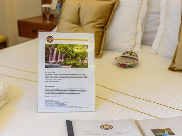 Best Point Hotel-Old City Sultanahmet : photo 9 de la chambre chambre double avec hammam privé et jardin - rez-de-chaussée - 20 m²