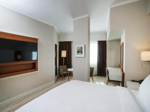 Radisson Hotel President Old Town Istanbul : photo 8 de la chambre chambre supérieure - vue sur mer - non-fumeurs