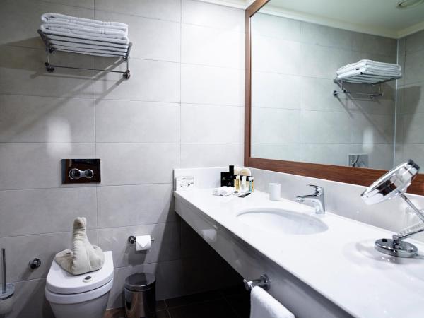 Euro Park Otel : photo 4 de la chambre chambre lits jumeaux standard