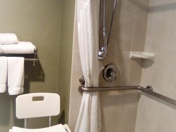 Holiday Inn Express & Suites Monterrey Aeropuerto, an IHG Hotel : photo 1 de la chambre chambre lit king-size standard - accessible aux personnes à mobilité réduite