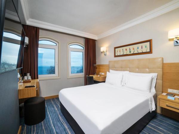 Radisson Hotel Istanbul Sultanahmet : photo 6 de la chambre chambre standard avec vue sur mer - non-fumeurs
