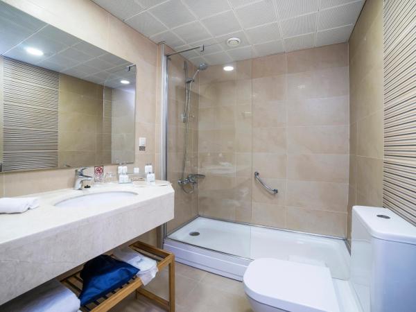 Radisson Hotel Istanbul Sultanahmet : photo 8 de la chambre chambre supérieure avec balcon - vue sur mer - non-fumeurs