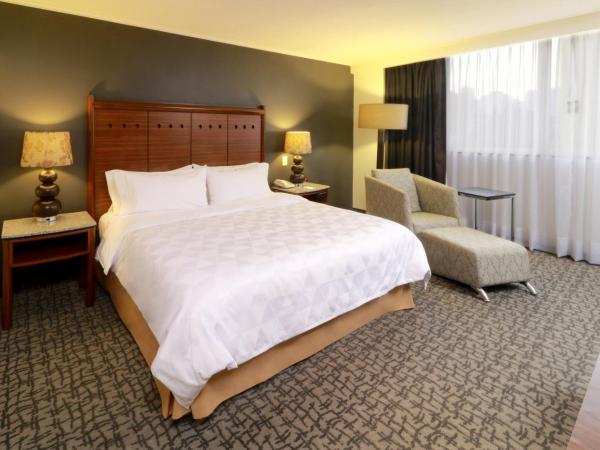 Holiday Inn Mexico City - Trade Center, an IHG Hotel : photo 3 de la chambre chambre lit king-size standard