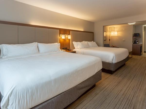 Holiday Inn Express - Indianapolis - Southeast, an IHG Hotel : photo 4 de la chambre suite lit king-size – non-fumeurs