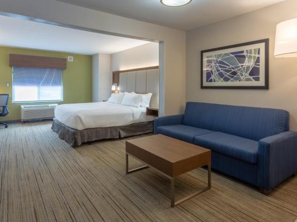 Holiday Inn Express - Indianapolis - Southeast, an IHG Hotel : photo 5 de la chambre suite lit king-size – non-fumeurs