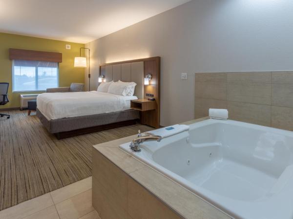 Holiday Inn Express - Indianapolis - Southeast, an IHG Hotel : photo 2 de la chambre suite lit king-size – non-fumeurs