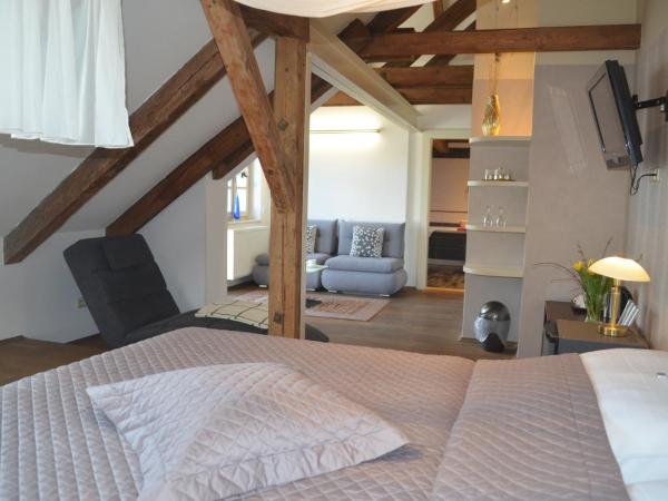 Hotel Peregrin : photo 8 de la chambre suite