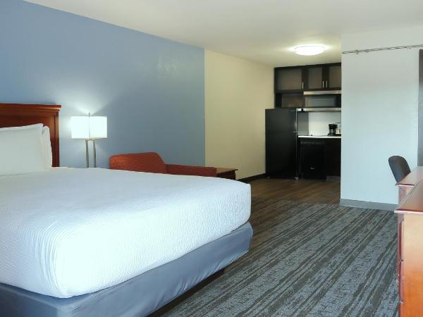 Hotel South Tampa & Suites : photo 4 de la chambre suite avec 1 lit queen-size et kitchenette - non-fumeurs