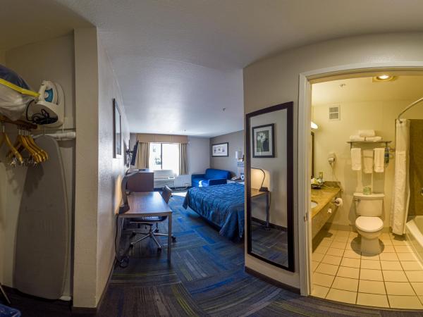 Buena Vista Motor Inn : photo 3 de la chambre chambre lit king-size deluxe