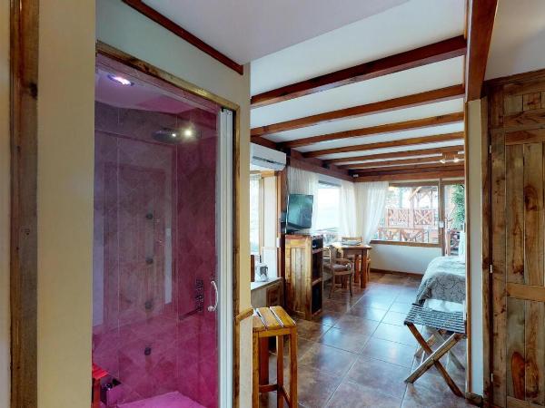 Charming Luxury Lodge & Private Spa : photo 5 de la chambre suite master avec sauna