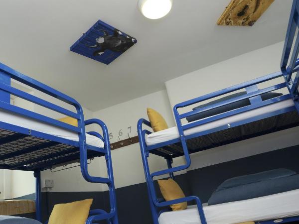 The Woodquay Hostel : photo 5 de la chambre lit dans dortoir de 8 lits