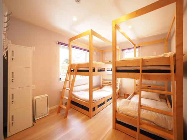 Family Tree Guest House : photo 1 de la chambre lit dans dortoir pour femmes de 4 lits