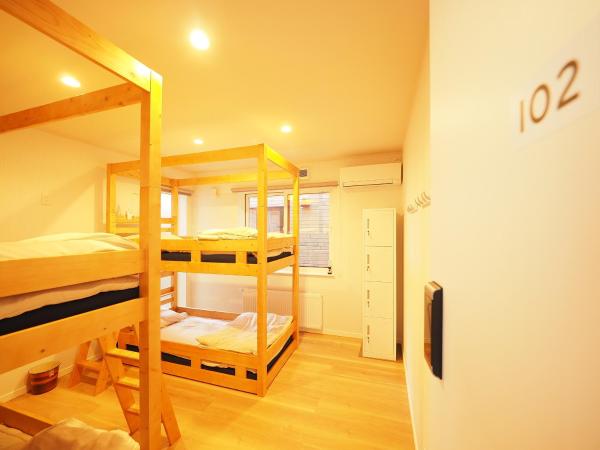 Family Tree Guest House : photo 2 de la chambre lit dans dortoir pour hommes