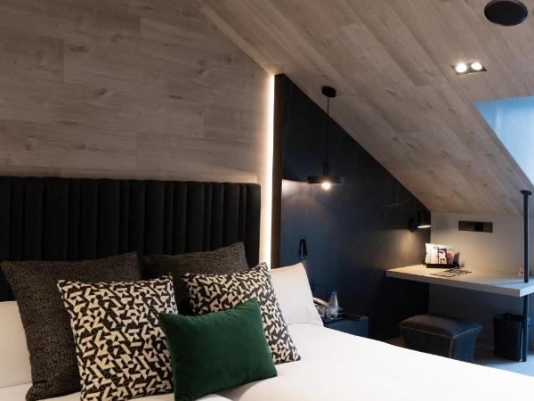 Hotel Regina : photo 4 de la chambre chambre penthouse avec terrasse