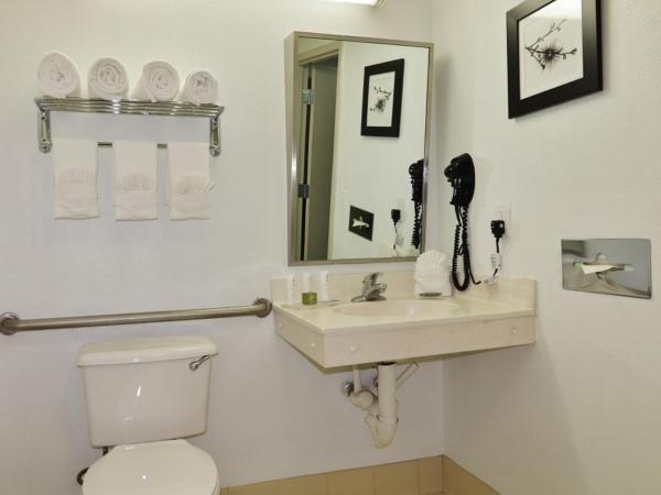 Country Inn & Suites by Radisson, Jacksonville, FL : photo 5 de la chambre chambre avec 2 lits queen-size et douche accessible en fauteuil roulant - non-fumeurs